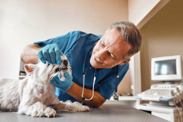 Best Pediatric Emergency Dentist in Lakeside, OR