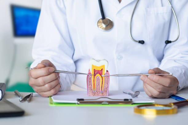 Best Emergency Root Canal Treatment in Lakeside, OR